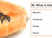 if-you-can’t-identify-common-produce-just-by-the-shape,-your-eyes-are-cooked