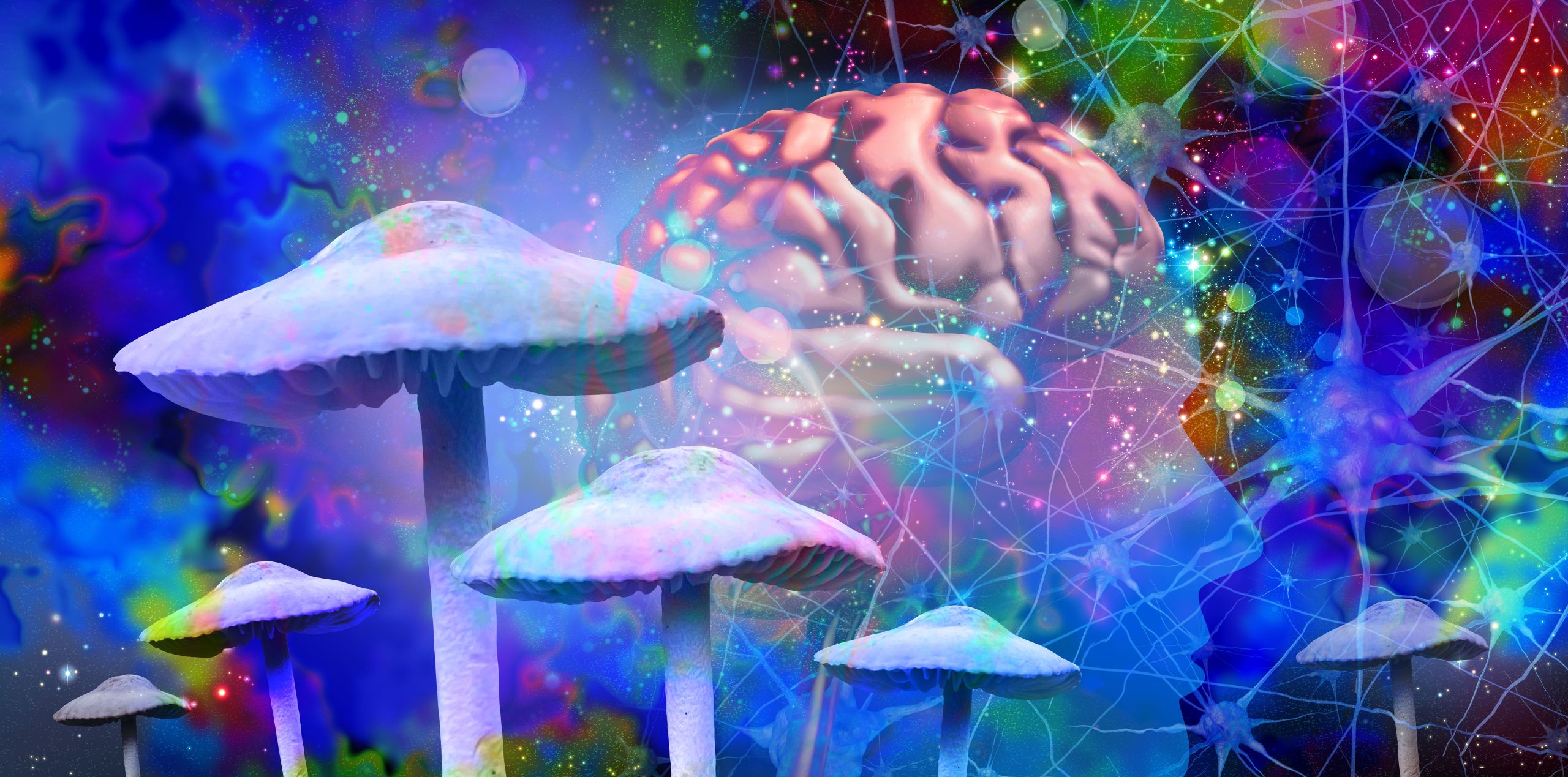 psilocybin-might-make-your-brain-live-in-the-moment