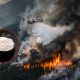 Tepung Singkong Bisa Padamkan Karhutla? BRIN Mulai Uji Teknologi Ini