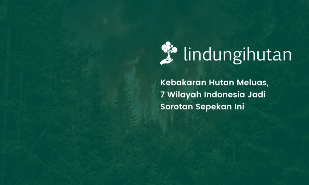 7-wilayah-dengan-kebakaran-hutan-dan-titik-api-terbanyak-di-indonesia