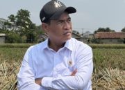 amran-pasang-pompa-di-sawah-bersumber-air-demi-tangkal-kekeringan