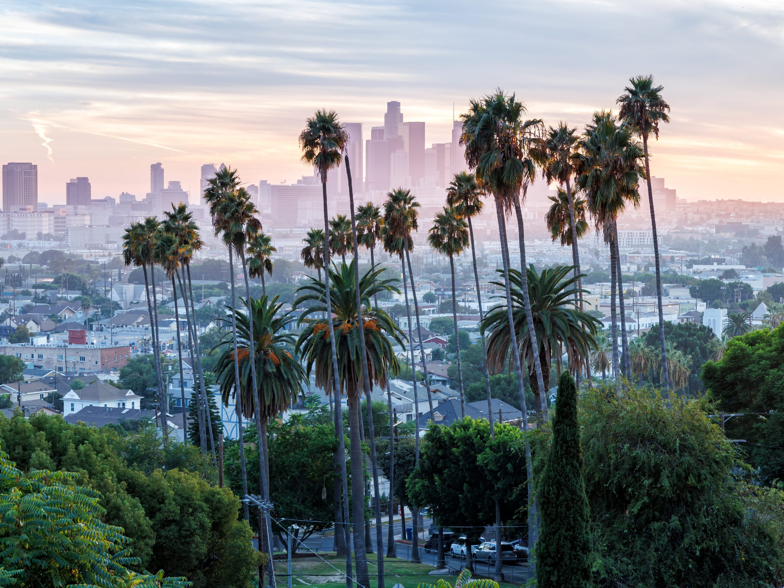 see-where-aspiring-entrepreneurs-are-showing-the-most-interest-in-starting-a-business,-ranked