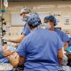 transplanted-pig-kidney-still-working-after-a-record-setting-9-months-in-a-patient