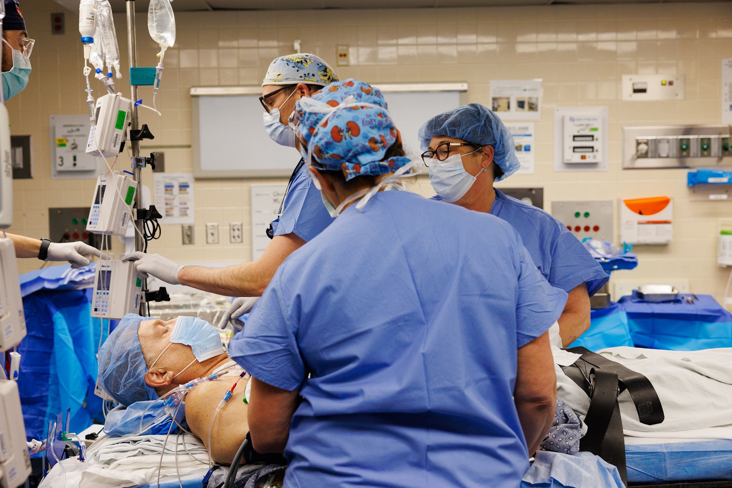 transplanted-pig-kidney-still-working-after-a-record-setting-9-months-in-a-patient