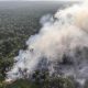 polisi-belum-bidik-korporasi-di-kasus-karhutla-sumatra-dan-kalimantan