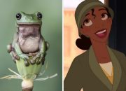 pick-some-magical-animals-to-determine-which-disney-princess-you-are-deep-down