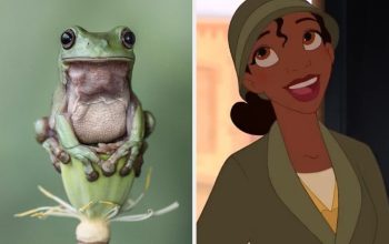 Pick Some Magical Animals To Determine Which Disney Princess You Are Deep Down