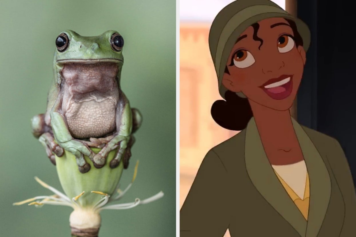 pick-some-magical-animals-to-determine-which-disney-princess-you-are-deep-down