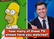 how-many-tv-shows-have-you-seen-that-aired-for-more-than-two-decades?