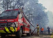 foto:-api-karhutla-bromo-meluas,-merembet-sampai-ke-jemplang