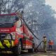 foto:-api-karhutla-bromo-meluas,-merembet-sampai-ke-jemplang
