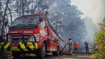 foto:-api-karhutla-bromo-meluas,-merembet-sampai-ke-jemplang