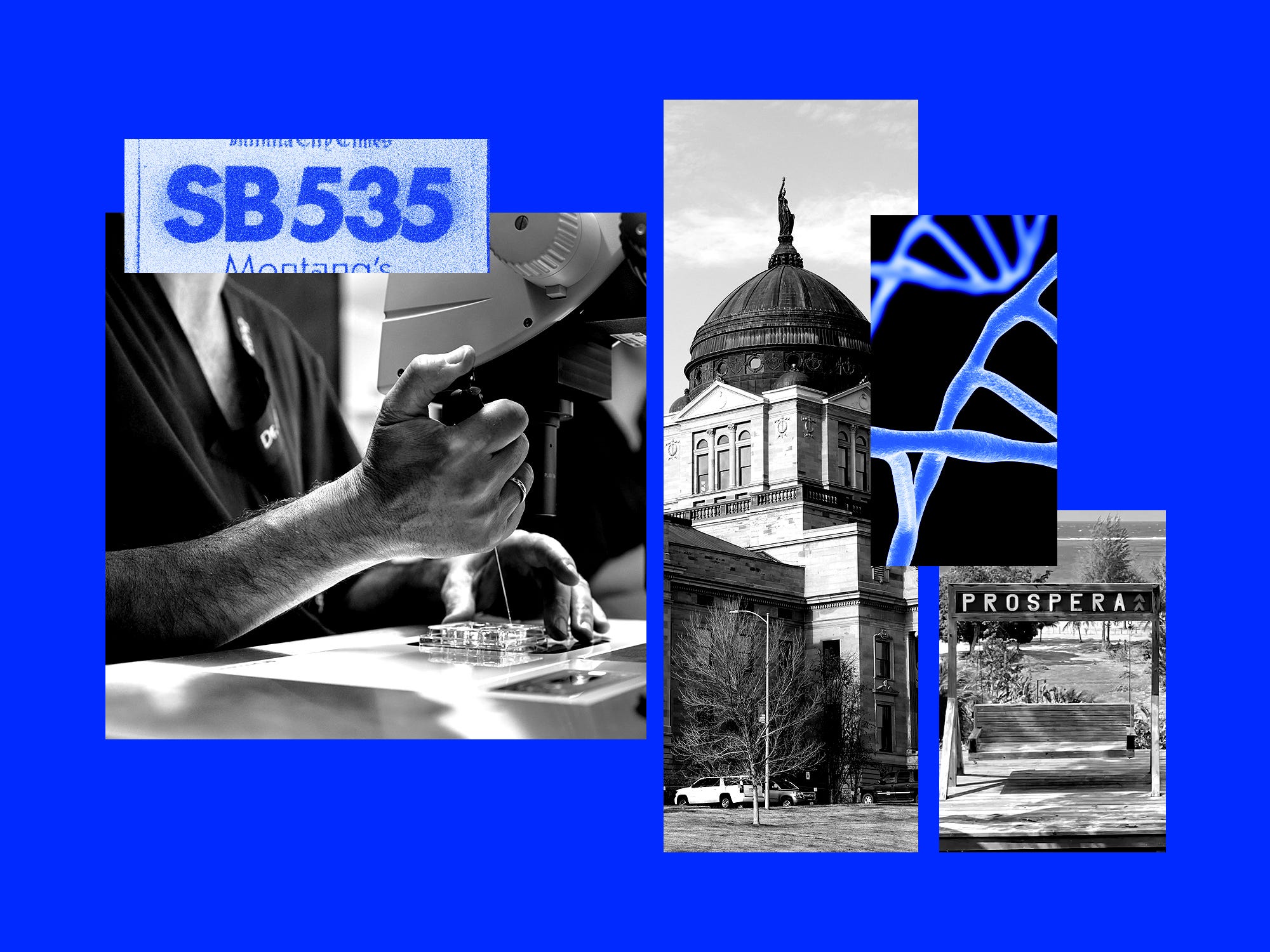 montana’s-experimental-treatment-law-hands-a-vc-the-keys