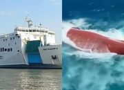 km-virgo-transport-8-terbalik,-ini-kronologi-dan-update-pencarian-korban