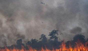 5 Pemda Sumsel Terima Bantuan Presiden Rp100 M untuk Tangani Karhutla
