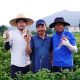 we-quit-our-jobs-to-travel-the-world-now-my-wife-and-i-run-her-family’s-farm-in-south-korea.