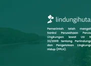 sanksi-perusahaan-perusak-lingkungan-sudah-ada,-jangan-mengabaikan-lingkungan