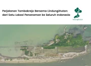 tambakrejo,-semarang:-dari-ancaman-abrasi-menuju-kebangkitan-mangrove