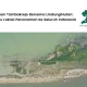 tambakrejo,-semarang:-dari-ancaman-abrasi-menuju-kebangkitan-mangrove