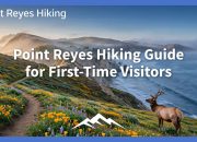 point-reyes-hiking-guide-for-first-time-visitors