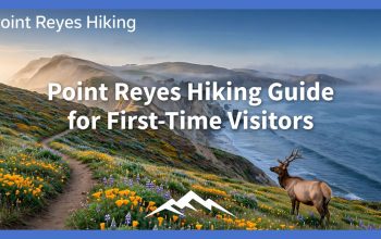 Point Reyes Hiking Guide for First-Time Visitors