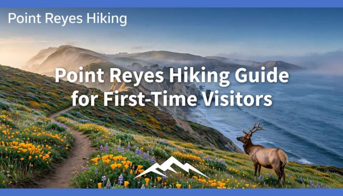 Point Reyes Hiking Guide for First-Time Visitors