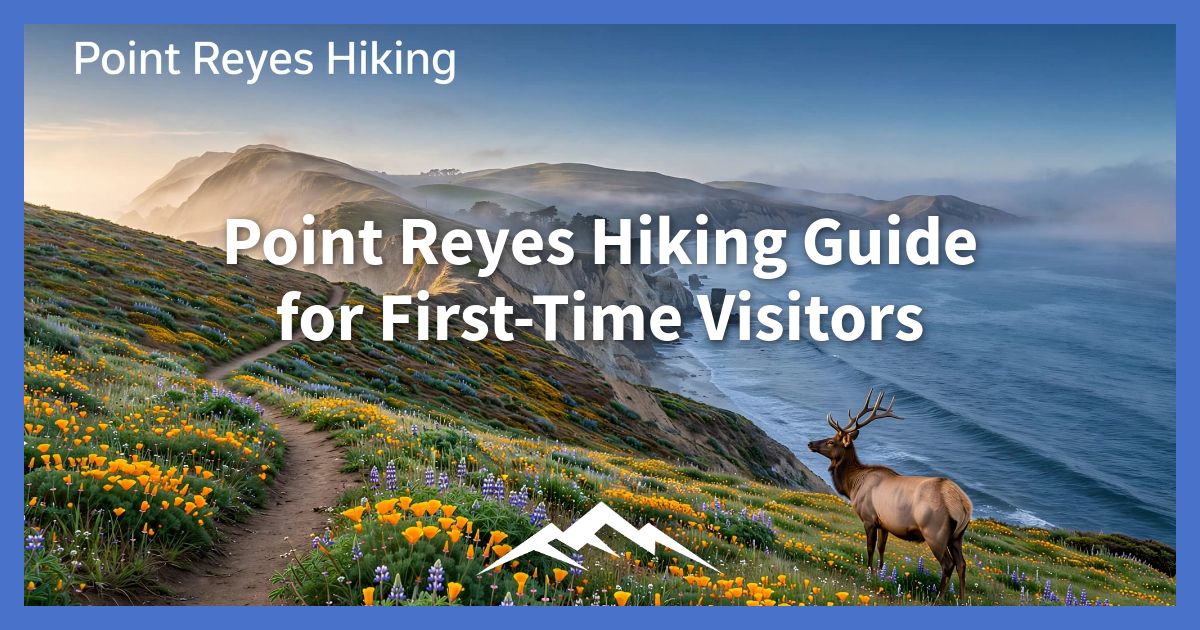 point-reyes-hiking-guide-for-first-time-visitors