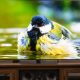 it’s-not-just-lg.-every-tv-company-is-spying-on-you