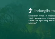 kebakaran-hutan-mengancam-habitat-satwa-liar