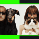 BLACKPINK’s LISA Designed Meta Glasses With Charms Inspired by Her Pets & Exclusive Digital Treats