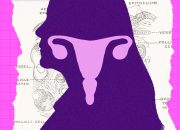 The Ovary Is Surprisingly Active After Menopause. Scientists Are Trying to Figure Out Why