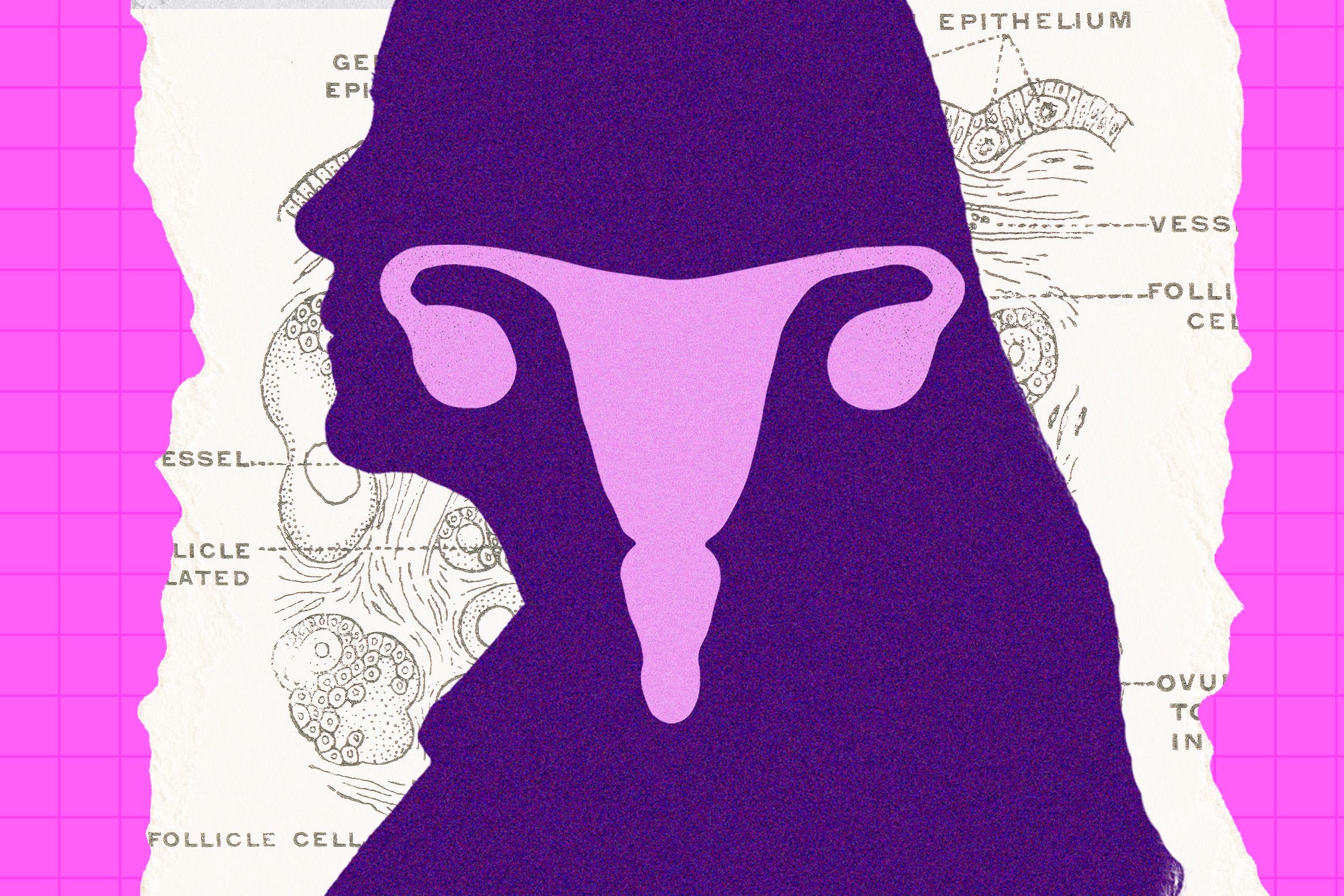 the-ovary-is-surprisingly-active-after-menopause.-scientists-are-trying-to-figure-out-why