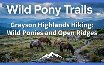 Grayson Highlands Hiking: Wild Ponies and Open Ridges