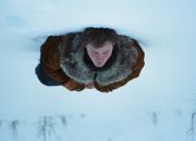 a-long-winter-review:-fred-hechinger-fronts-a-beautiful,-unmissable-queer-drama