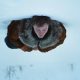 A Long Winter review: Fred Hechinger fronts a beautiful, unmissable queer drama