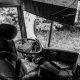 truk-tabrak-pohon-hingga-tumbang-di-cempaka-putih-jakpus
