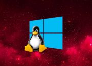 microsoft-is-rolling-out-linux-container-support-to-wsl