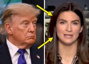 kaitlan-collins-just-hit-trump-with-an-eye-popping-disapproval-rating-on-air