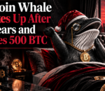 bitcoin-whale-wakes-up-after-12-years-and-moves-500-btc