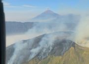 karhutla-landa-25-daerah-jatim-selama-kemarau,-9-ribu-hektare-hangus