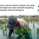 desa-sukawali-tangerang:-merawat-mangrove,-menjaga-masa-depan-pesisir-cisadane