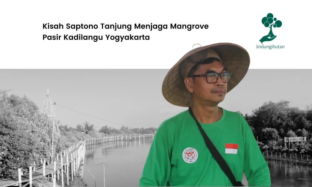 saptono-tanjung:-menebar-optimisme-melalui-mangrove-di-pasir-kadilangu,-yogyakarta 