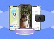 Best Smart Cat Trackers of 2026: Fi Mini vs. Tractive