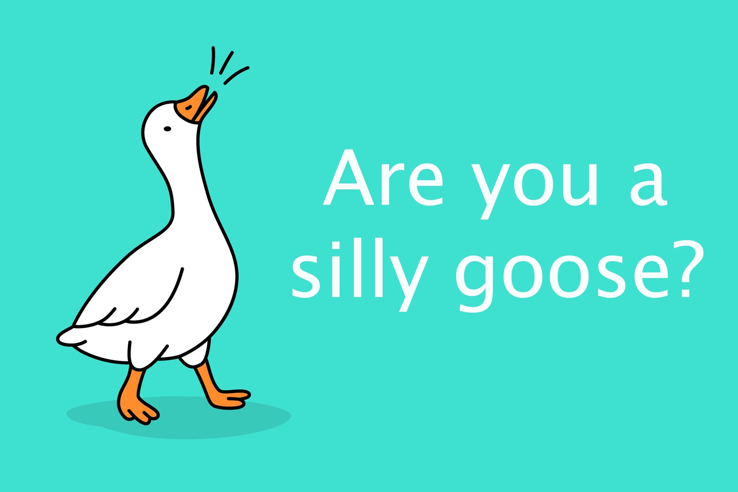 how-much-of-a-silly-goose-are-you?