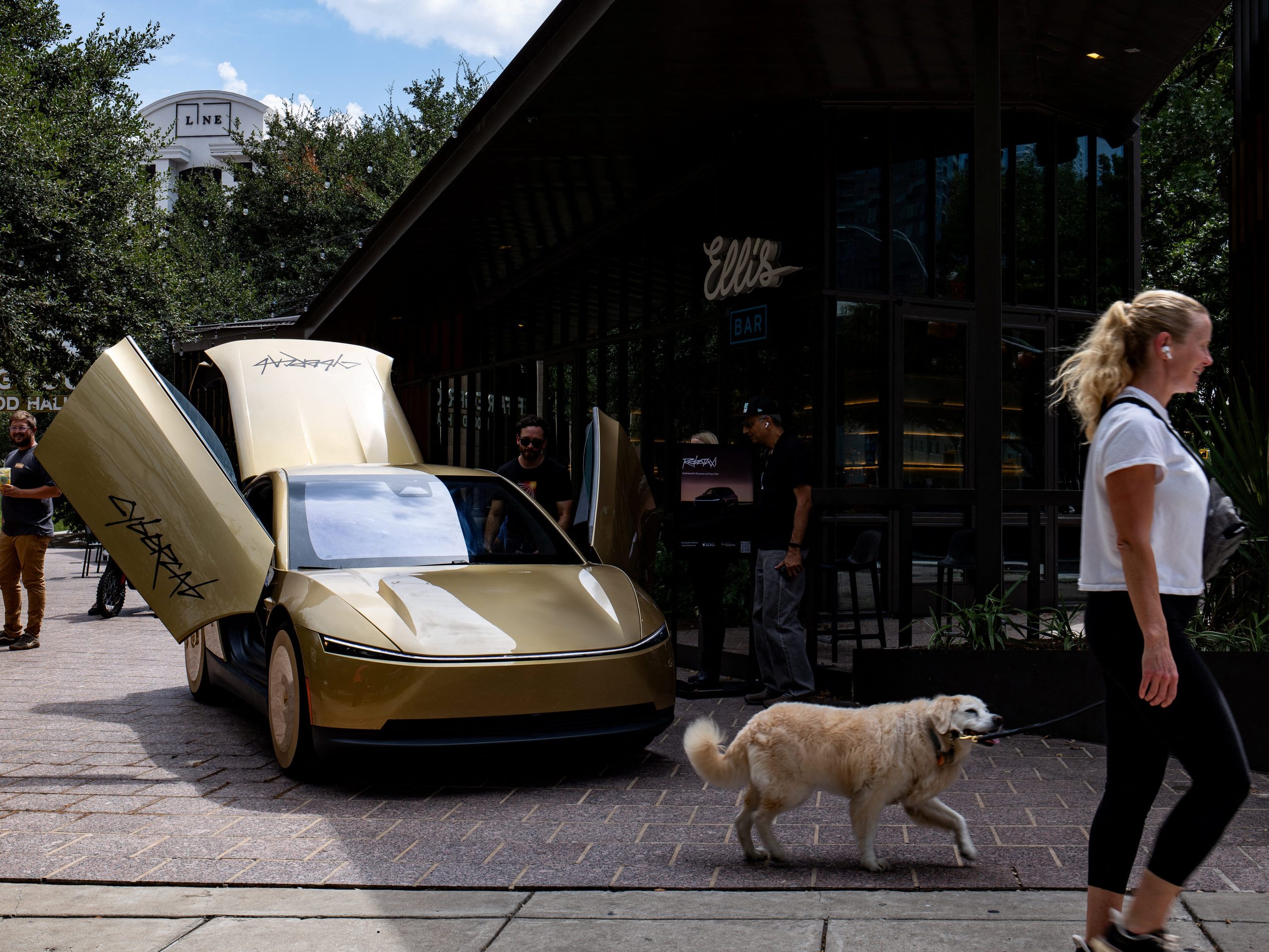elon-musk-says-tesla-is-trying-to-prevent-robotaxis-from-running-over-cats-at-night
