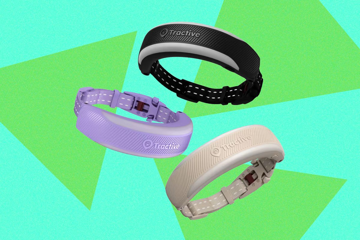 tractive-cat-6-mini-review:-a-fitbit-for-your-cat