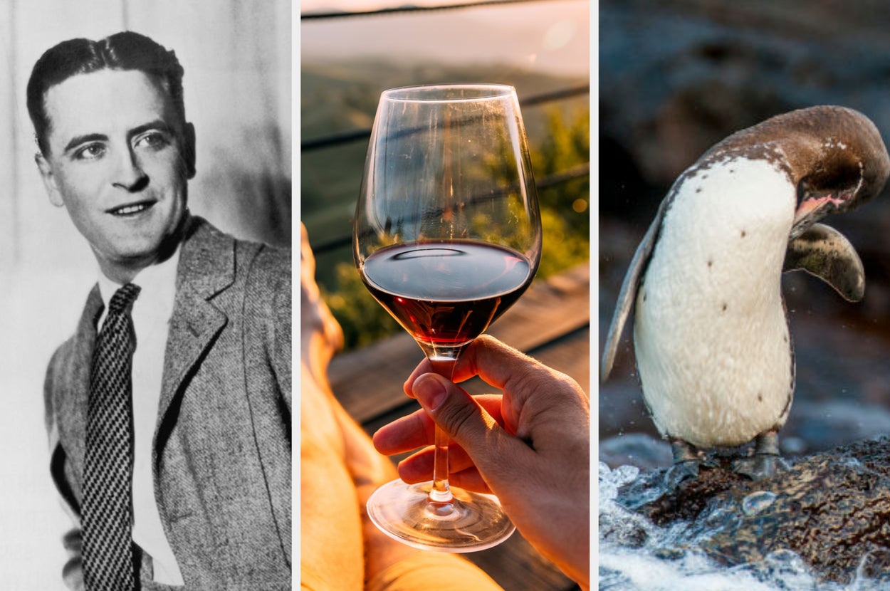 you’re-a-genius-if-you-know-the-answer-to-these-utterly-random-general-knowledge-questions