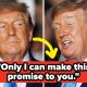 donald-trump-seems-to-lie-a-lot,-but-this-1-massive-new-fib-might-be-his-most-laughable-one-yet