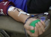 pramono-tegaskan-pmi-jakarta-tak-boleh-minta-pungutan-warga