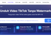 best-tiktok-downloader-untuk-menyimpan-video-dari-browser